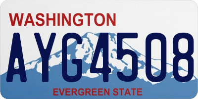 WA license plate AYG4508