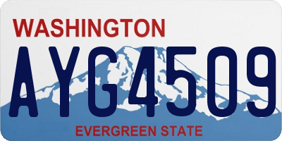 WA license plate AYG4509