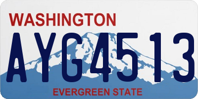 WA license plate AYG4513