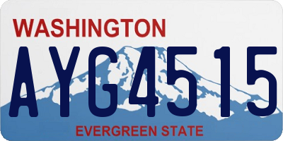WA license plate AYG4515