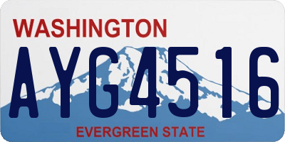 WA license plate AYG4516