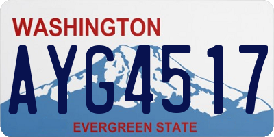 WA license plate AYG4517