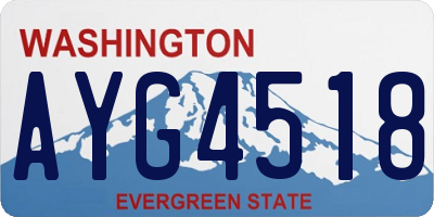 WA license plate AYG4518