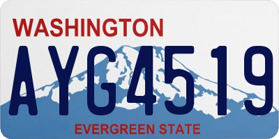WA license plate AYG4519