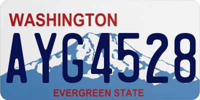 WA license plate AYG4528