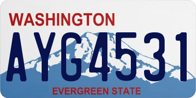 WA license plate AYG4531
