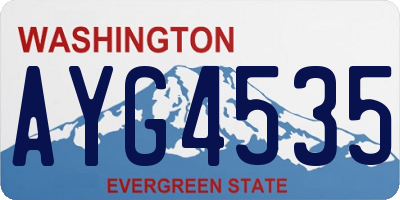 WA license plate AYG4535