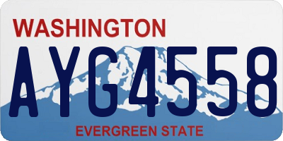 WA license plate AYG4558