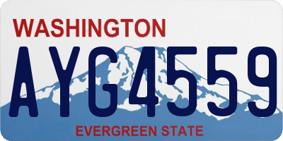 WA license plate AYG4559