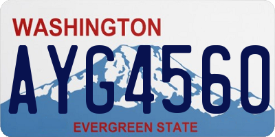 WA license plate AYG4560