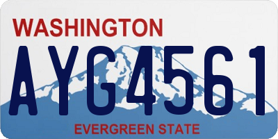 WA license plate AYG4561