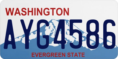 WA license plate AYG4586