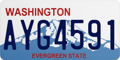 WA license plate AYG4591