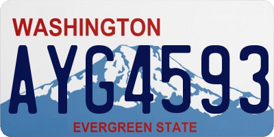 WA license plate AYG4593