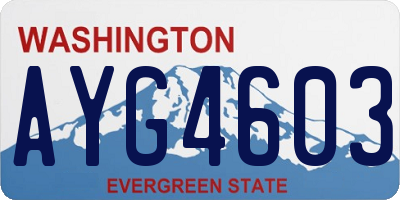 WA license plate AYG4603