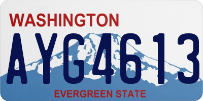 WA license plate AYG4613