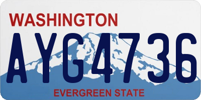 WA license plate AYG4736