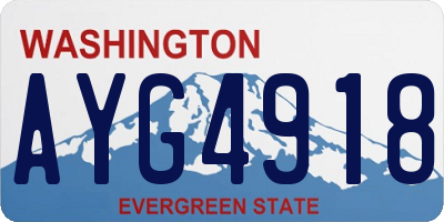 WA license plate AYG4918