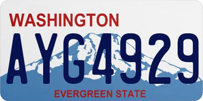 WA license plate AYG4929