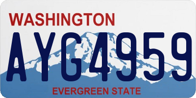 WA license plate AYG4959