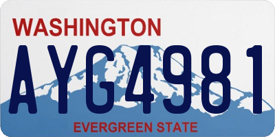 WA license plate AYG4981