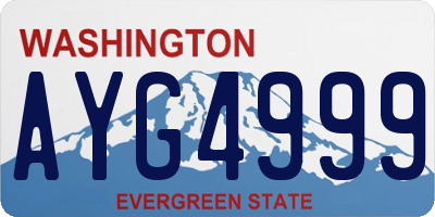 WA license plate AYG4999
