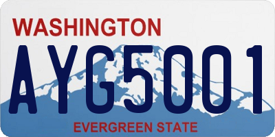 WA license plate AYG5001