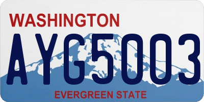 WA license plate AYG5003