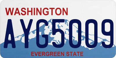 WA license plate AYG5009