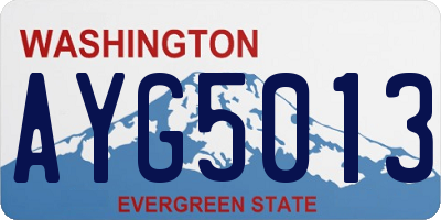 WA license plate AYG5013