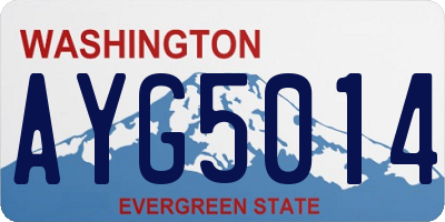 WA license plate AYG5014