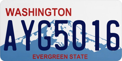 WA license plate AYG5016