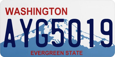 WA license plate AYG5019