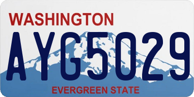 WA license plate AYG5029
