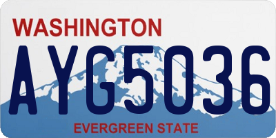 WA license plate AYG5036