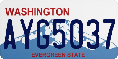 WA license plate AYG5037