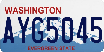 WA license plate AYG5045