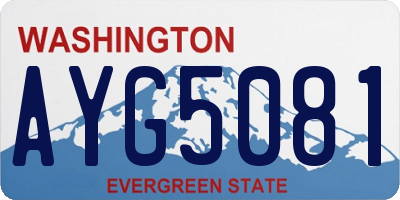 WA license plate AYG5081