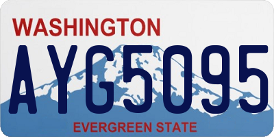 WA license plate AYG5095