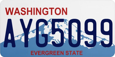 WA license plate AYG5099
