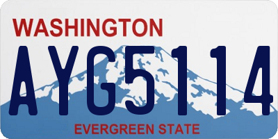 WA license plate AYG5114