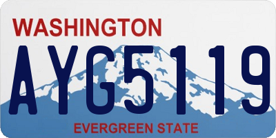 WA license plate AYG5119