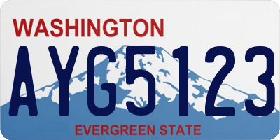 WA license plate AYG5123