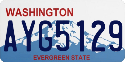 WA license plate AYG5129
