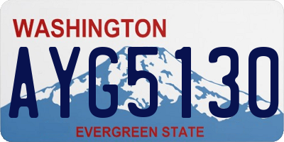 WA license plate AYG5130