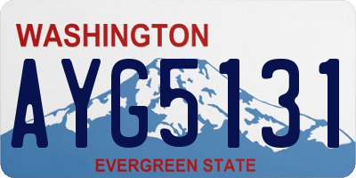 WA license plate AYG5131