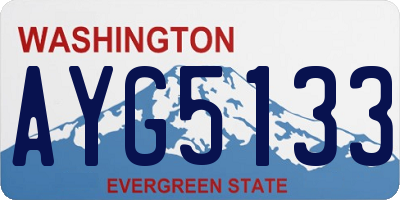 WA license plate AYG5133