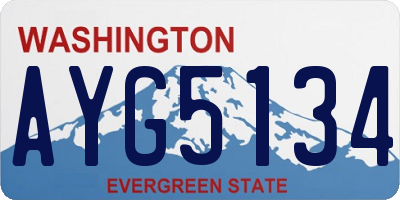 WA license plate AYG5134