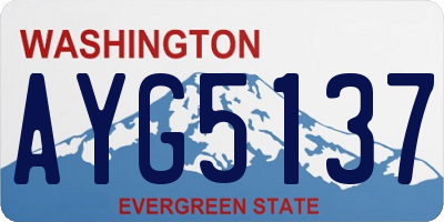 WA license plate AYG5137