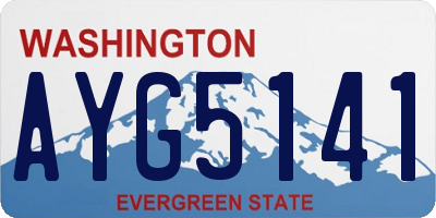 WA license plate AYG5141
